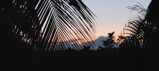 sunset in the city © LuisGonzaga