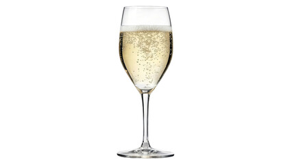Champagne in a Glass: A Sparkling Celebration