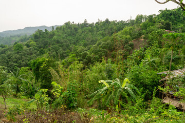 Obraz premium Dense green mountain landscape of South Asia. Bandarban is a hilly region of Bangladesh with blue sky and green hills.