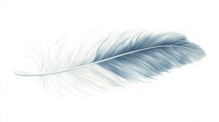 Fototapeta premium Single Blue Feather Isolated on White Background.