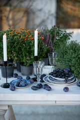 Beautiful fall table dinner table setting: chrysanthemum flowers in pots, burning candles and prunes on the table with blue vintage plates pile