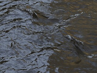 Abstract Water Texture: Ripples and Reflections on a Calm Sea Surface