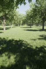 Obraz premium Tranquil Green Meadow with Sunlight Dappled Trees