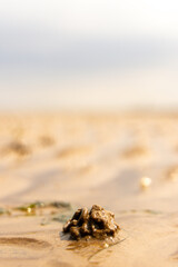 A Typical British Beach View From One Of The UK's Coastlines