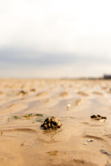 Obraz premium A Typical British Beach View From One Of The UK's Coastlines