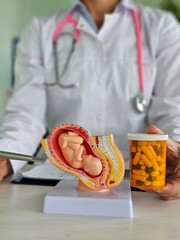 Fetus medicine embryo model and treatment