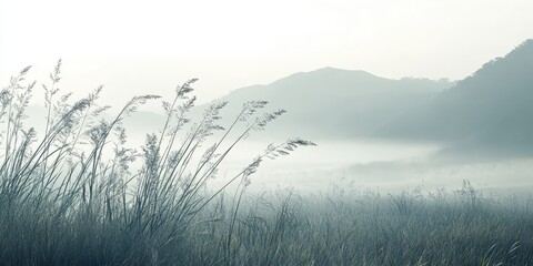 Obraz premium Misty landscape with tall grass and distant mountains in soft focus.