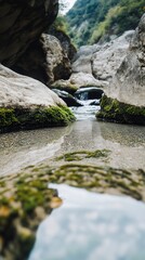 stream in the forest flowing through rocks