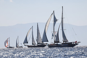 Fototapeta premium Sailors Enjoyed the Beautiful Weather in Bodrum Turkey