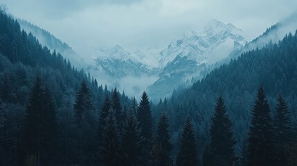 A Snowy Mountain Range Partially Hidden by Fog and Pine Trees