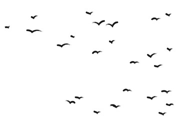 Fototapeta premium Birds flying in the sky grunge brush silhouettes. Ink grunge flock of birds drawn with markers and crayons set
