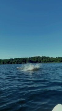 Man jumping into the water from a SUP board. Summer holiday on paddle board on pond.