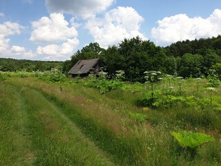 Obraz premium landscape with house