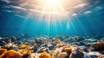 Fototapeta premium Sunlight pierces through ocean water illuminating a vibrant coral reef ecosystem with diverse corals and opulent marine plant life in an idyllic underwater setting.