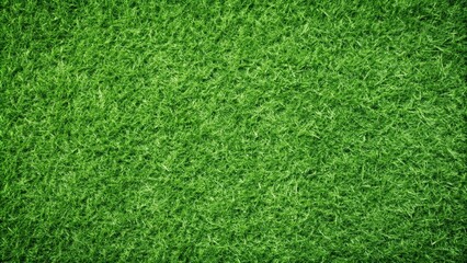 Fototapeta premium Green grass texture perfect for seamless backgrounds, green, grass, texture,seamless, background, nature, plant, lawn, field