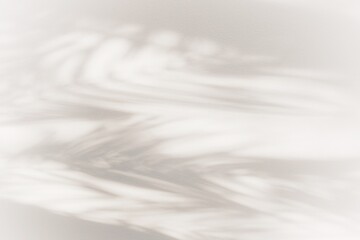 Obraz premium Abstract shadows of vegetation, palm trees