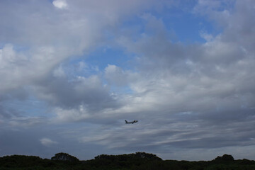 Obraz premium the plane flies high in the clouds