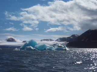 Blue icebergs floating in polar waters with mountains in the background