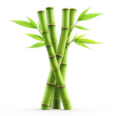Fototapeta premium Fresh Green Bamboo Stalks with Leaves