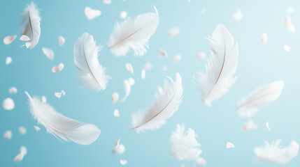 Large white quill feathers gently floating in the air. Each feather is glowing slightly and are delicate soft focus and bokeh