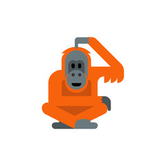 Orangutan  © sgra