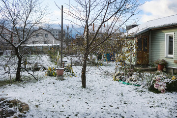 First snow fell in garden at night