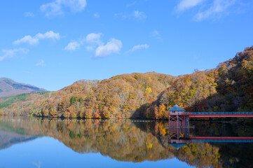 Fototapeta premium 秋の紅葉を映す上磯ダム