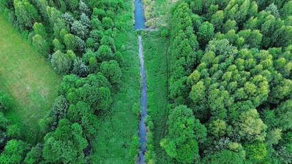 Forest river captured from above © AlexGo