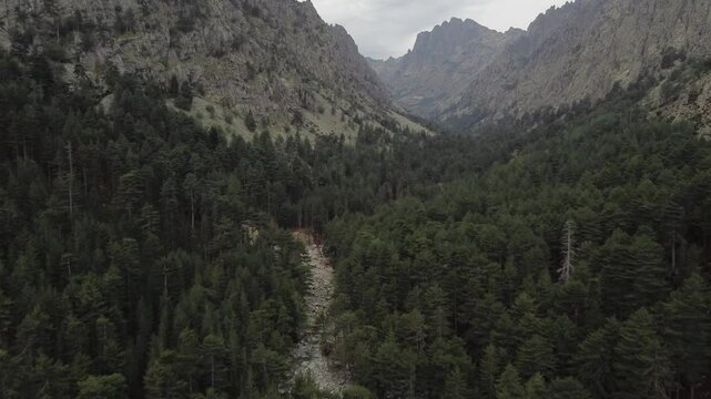 Restonica valley superb gorges in Corsica near Corte, aerial drone view