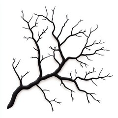 Fototapeta premium A stylized black tree branch with intricate, spindly twigs branching out, creating a striking minimalist silhouette against a white background isolated on white background.