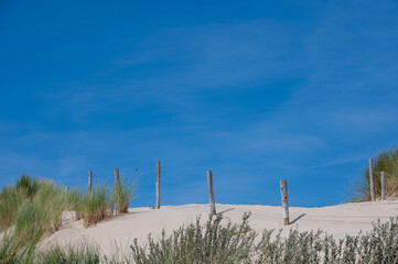 Obraz premium Barbed wire fence in the sand dunes
