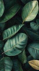 Obraz premium A vibrant assortment of green leaves showcasing various shapes and sizes on a light background.