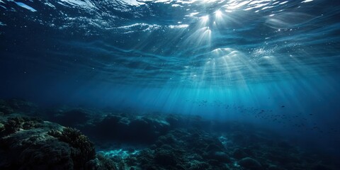 Obraz premium Sunbeams Illuminate a School of Fish Swimming Over a Coral Reef in the Ocean Depths