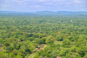 Obraz premium Lush Green Forest Landscape Near Sigiriya Lion Rock in Sri Lanka