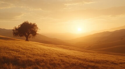 Obraz premium Serene Sunset Over Rolling Hills with Isolated Tree