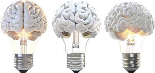 White light bulb and brain with light isolated on transparent background