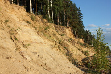 sandy coast, beach, sand, river, water, shore, trees, nature