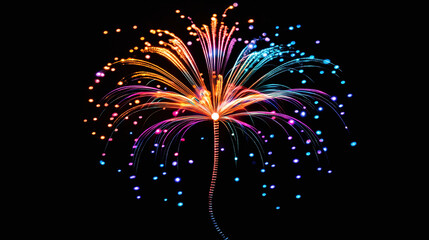Fototapeta premium Fireworks on a black background.
