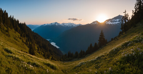 Fototapeta premium Olympic National Park A Haven for Adventure in the Pacific Northwest