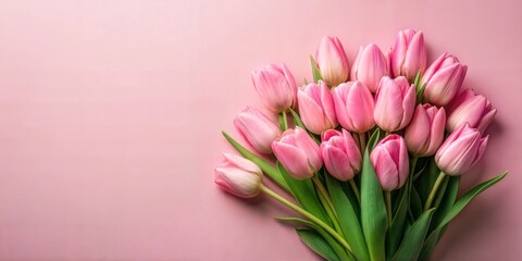 Obraz premium beautiful tulip flower on color background