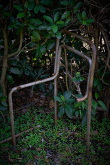 朽ちたパイプ椅子。自然の背景素材。