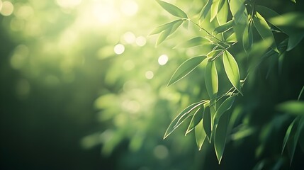 Obraz premium Sunlit Leaf Edges in Peaceful Natural Setting with Soft Green Background