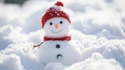 Fototapeta premium Snowy Activities: Document fun winter activities, such as sledding, snowball fights, or building snowmen.