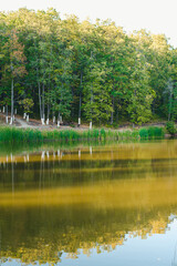 lake in the park. Forest lake. Reflection of trees in water. Reflection in the lake.