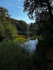 lake in the forest