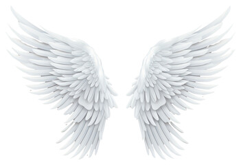Obraz premium PNG Angel wings white white background archangel.