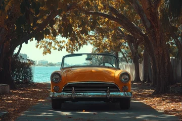 Fototapete Rund Classic yellow convertible car parked by the sea under trees © Lubos Chlubny
