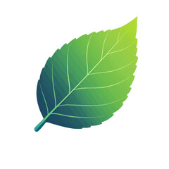 Obraz premium Vivid green leaf highlighting natural beauty, cut out transparent