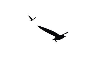 Flying Birds Silhouette Design In White Background