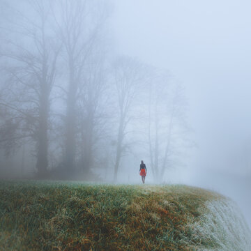 Brume
